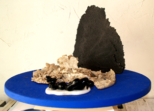 Bain de soleil sur la banquise.